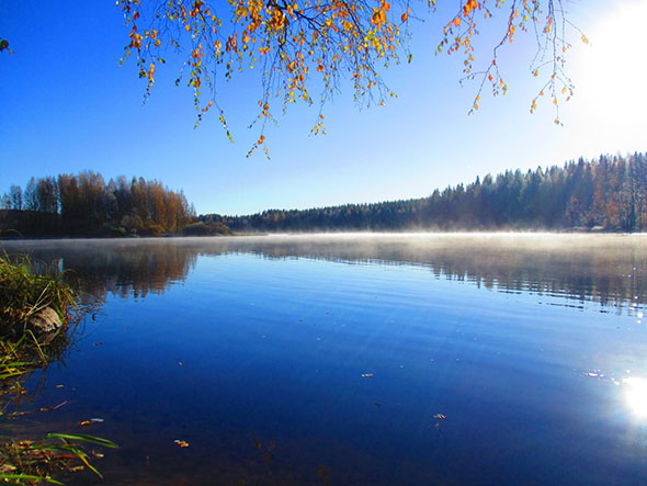 Keväinen järvimaisema, usvaa veden pinnalla ja lehdet ruskan jäljiltä keltaisina.