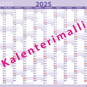 Seinämuistio 2025