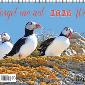 Forget-me-not-wall 2026