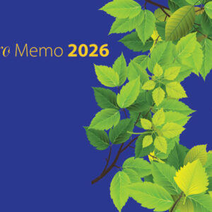 Euro Memo, sininen 2026